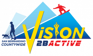 Vision-2BActive