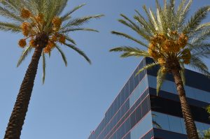 The outside of the Department of Behavioral Health building with two palm trees
