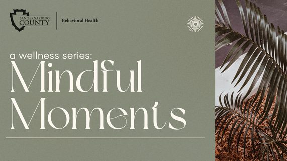 Promotional graphic featuring the text “a wellness series: Mindful Moments” on a muted green background. The San Bernardino County Behavioral Health logo appears in the upper left, with a small circular sunburst icon on the right. A decorative plant with long, arching leaves is shown on the right side over a textured surface.