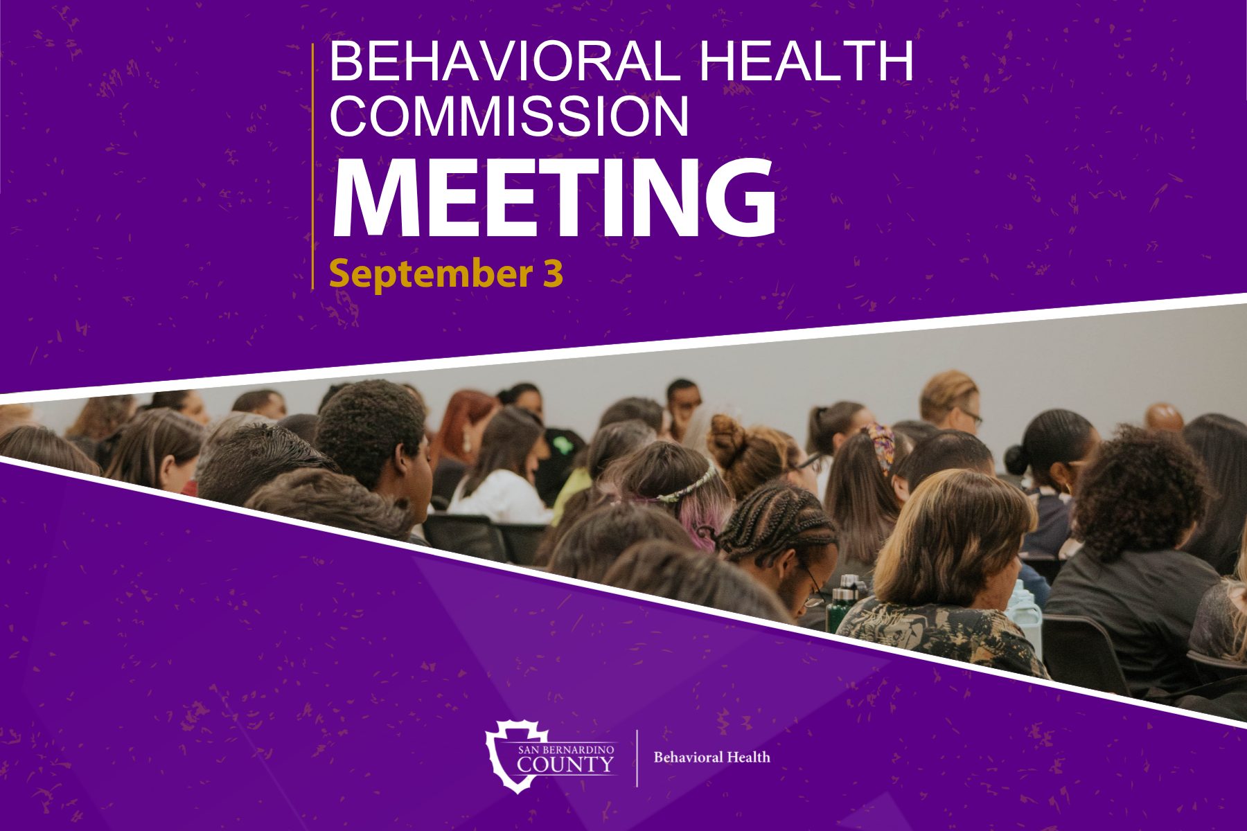 Behavioral Health Commission Kickoff Meeting