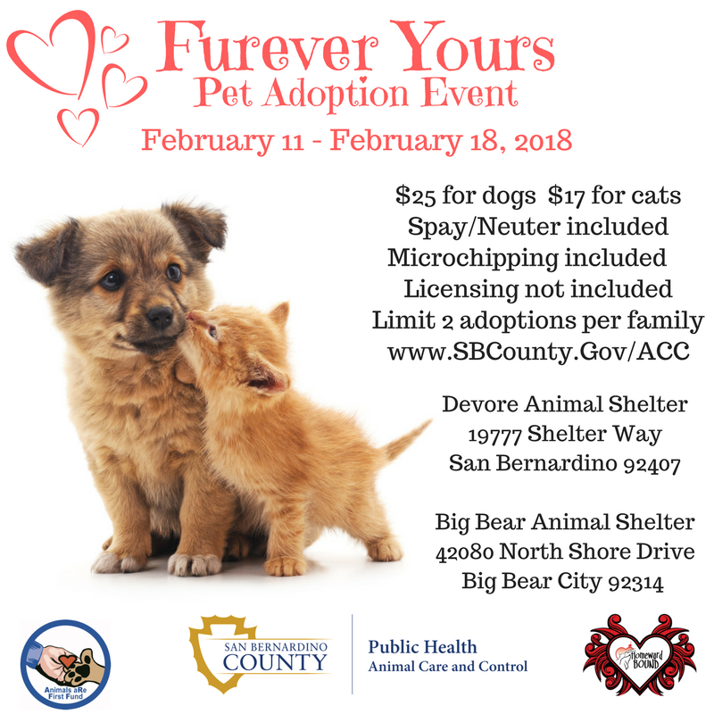 dog adoption event today near me