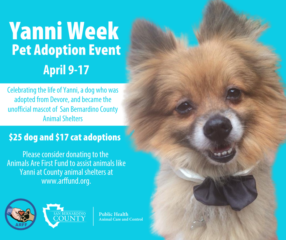 Pet Adoption Event April 9-17