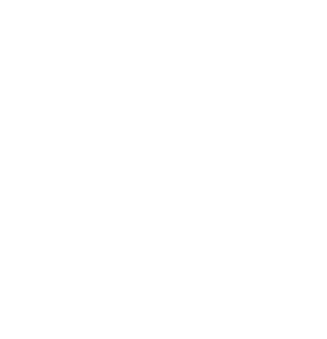 Police Badge icon