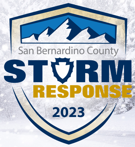 Storm Response Logo