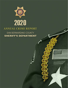2020 Annual Crime Report