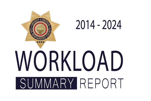 Sheriff's 2024 Workload Summary Report Link Icon