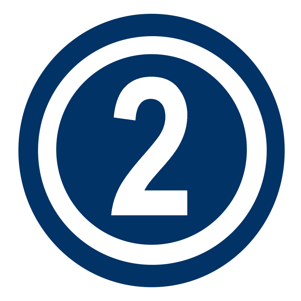 Bullet 2