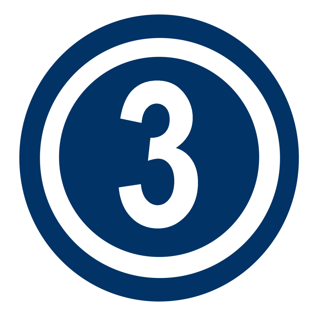 Bullet 3