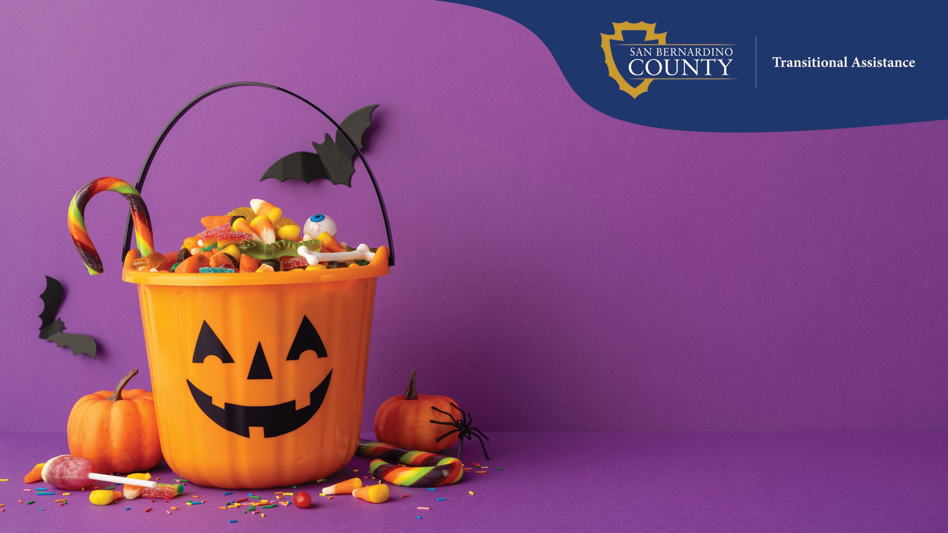Bright orange pumpkin-shaped bucket with a smiling jack-o'-lantern face, filled with colorful Halloween candy such as candy corn, gummy worms, lollipops, and a rainbow candy cane. The bucket sits on a purple surface with scattered candy and sprinkles, surrounded by two small pumpkins, a black plastic spider, and cutout paper bats on a solid purple background.