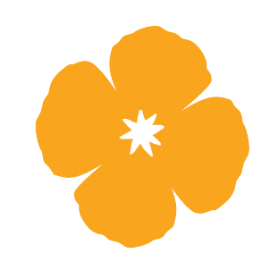 Medi-Cal Logo 